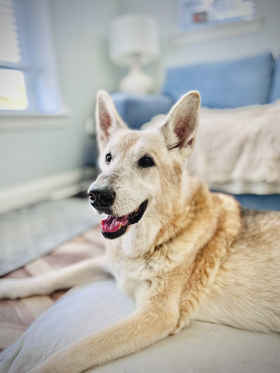 jbray808.eth tweet media