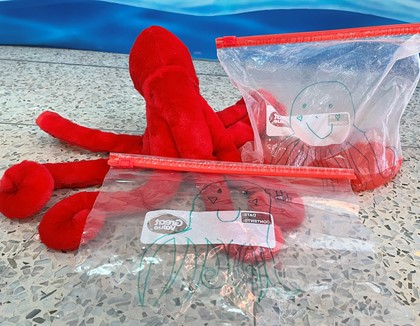 PhxLibrary's tweet photo. Bring the kids to Discovery Time 10:30 a.m. Saturday, July 16, @ #SouthMountainCommunityLibrary &amp; learn about the octopus! 🐙Sing fun songs, read books &amp; experiment w/how small a space the octopus can crawl through! https://t.co/HuQUzrxIlF #DiscoveryTime #SummerPrograms https://t.co/ZsuWXDdhRX
