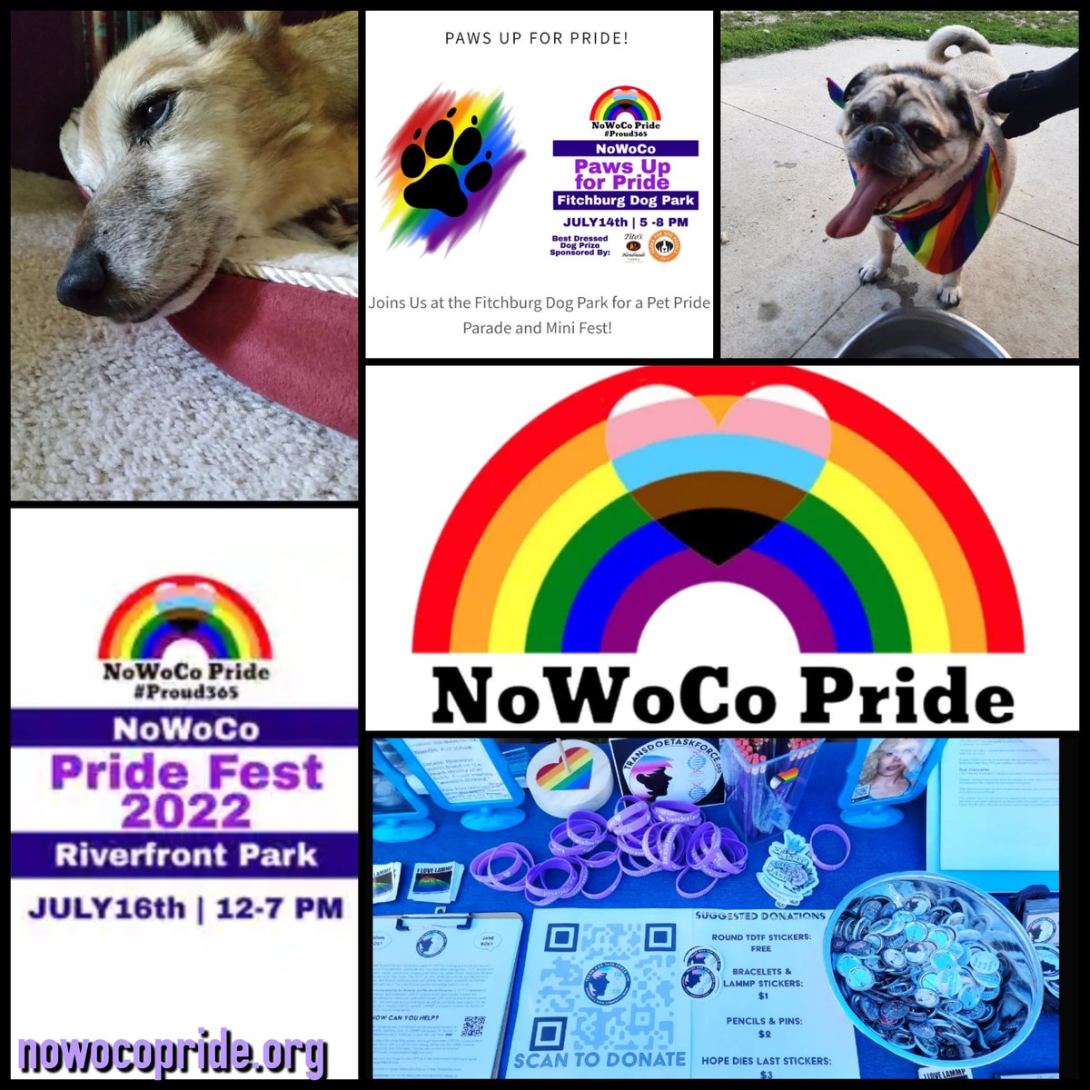 Trans Doe Task Force tweet media