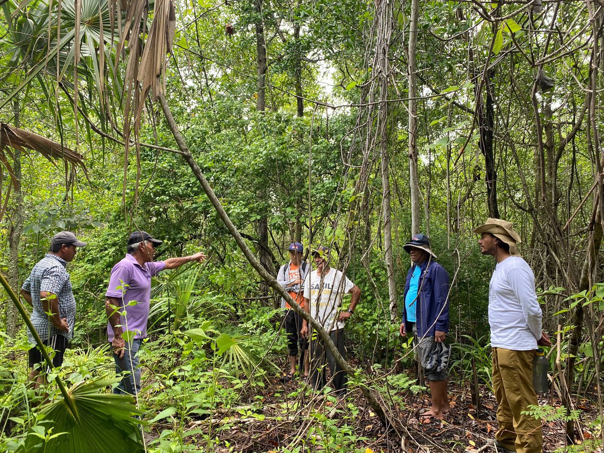 sergededina's tweet image. A big thanks to our @WILDCOAST team for their expedition into the #mangroves of Chiapas and Oaxaca!! They went in to the field to see community-based restoration #naturalclimatesolutions and #bluecarbon projects!!