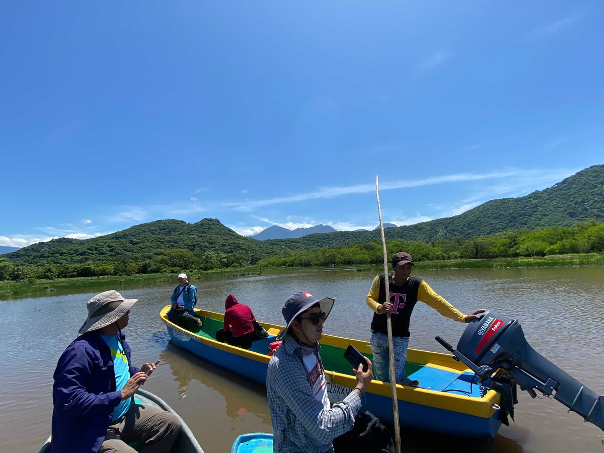 sergededina's tweet image. A big thanks to our @WILDCOAST team for their expedition into the #mangroves of Chiapas and Oaxaca!! They went in to the field to see community-based restoration #naturalclimatesolutions and #bluecarbon projects!!