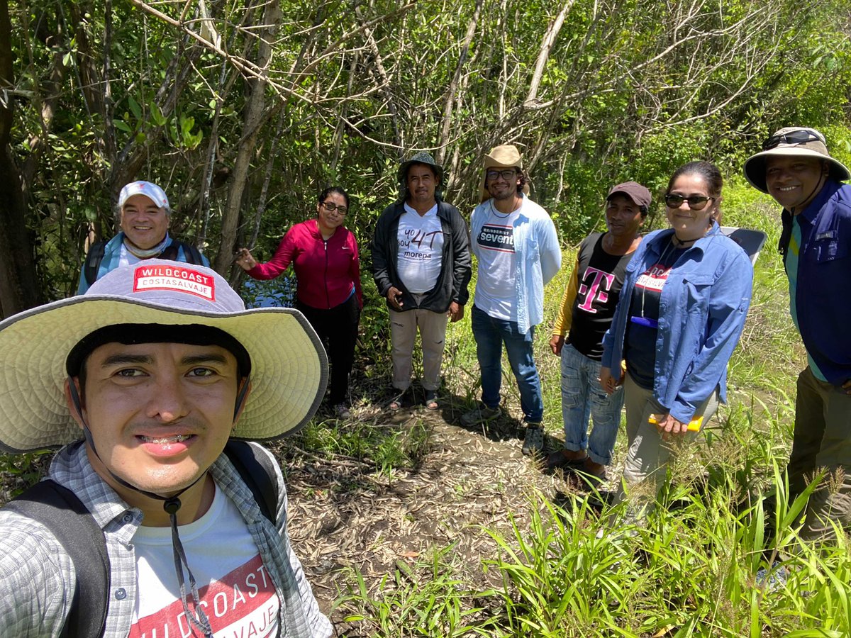 sergededina's tweet image. A big thanks to our @WILDCOAST team for their expedition into the #mangroves of Chiapas and Oaxaca!! They went in to the field to see community-based restoration #naturalclimatesolutions and #bluecarbon projects!!