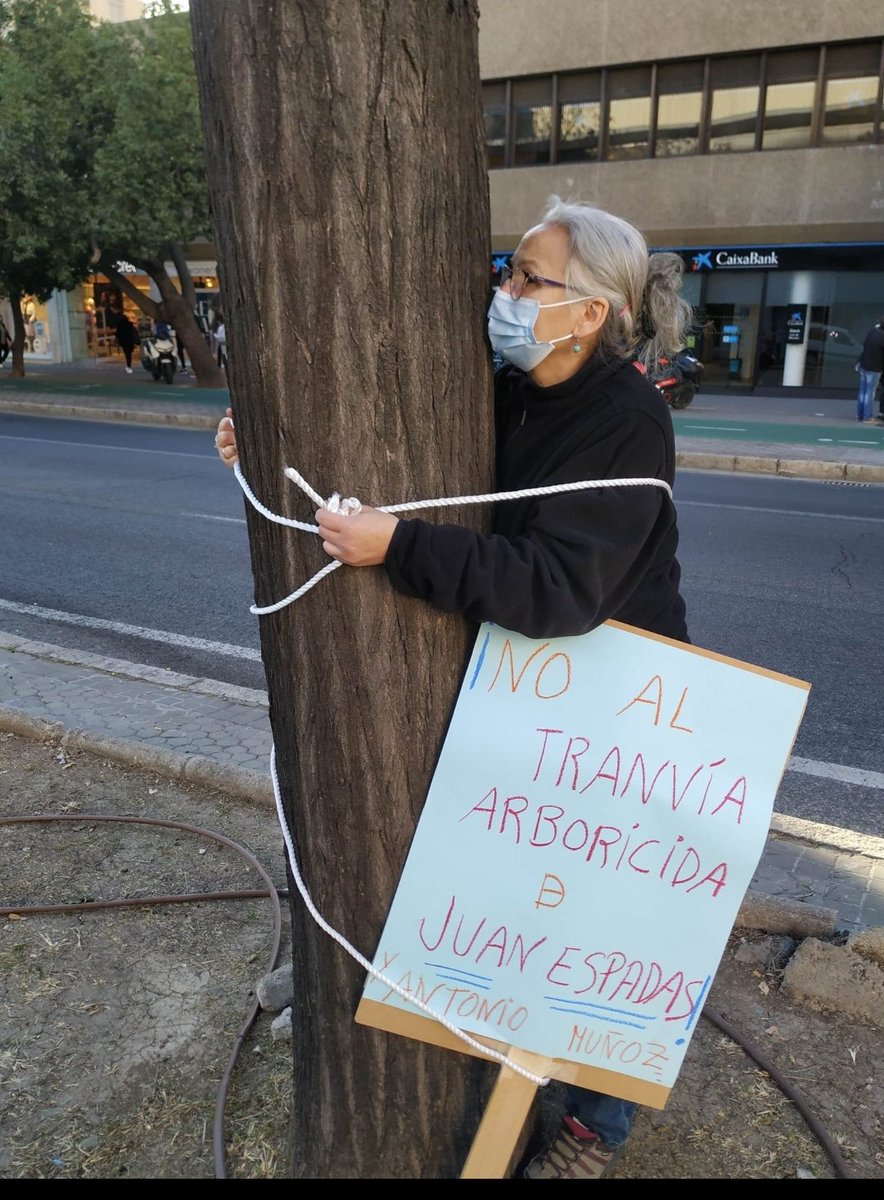 joaquinnch's tweet photo. No hace mucho de la resistencia ciudadana en la C/Luis de Morales en contra de un tranvía arboricida. 

Hoy algunos árboles aún luchan juntos con los caídos.

Que tristeza!
 La vida de un ser vivo no merece ser tratada con tanto desprecio
Por qué? 
@antoniomunozsev
@guevara_dg https://t.co/Xcq3Q2WBtl