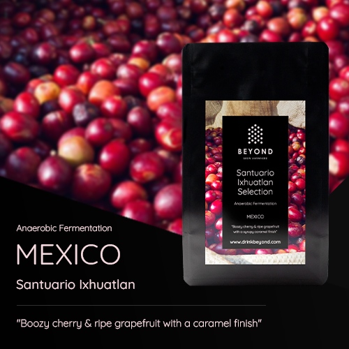beyondcoffeehq's tweet photo. You can't go past this latest release if you're a filter coffee lover.

Orders via the website before 19.07.22 to receive https://t.co/X5zzaSc1uq

#specialtycoffee #Mexico #beyondcoffee  #homebarista #coffeewholesale #filtercoffee #specialtycoffeeroaster #melbournecoffee https://t.co/707nGY1pKt