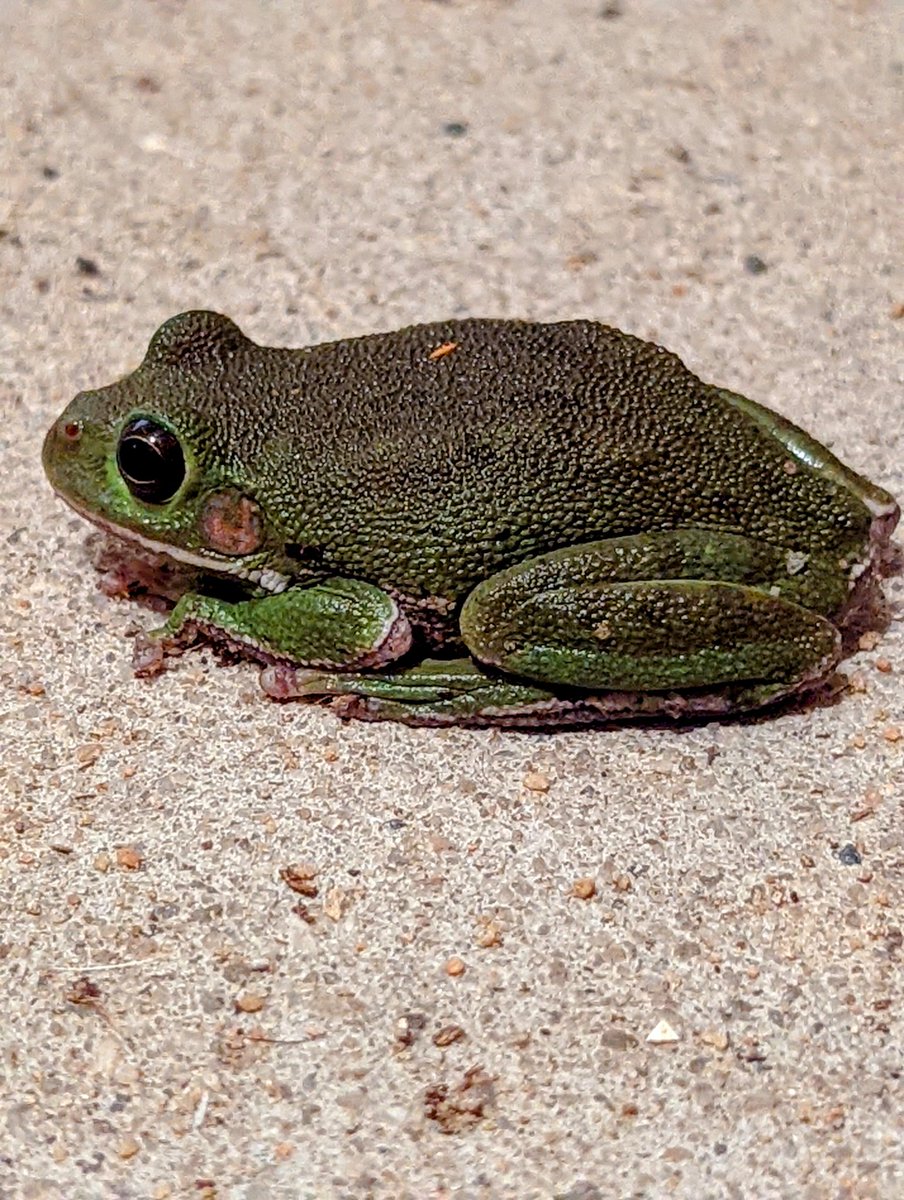 GoogleBrianH's tweet photo. #TeamPixel #P6pro https://t.co/Sy335Nlr5N