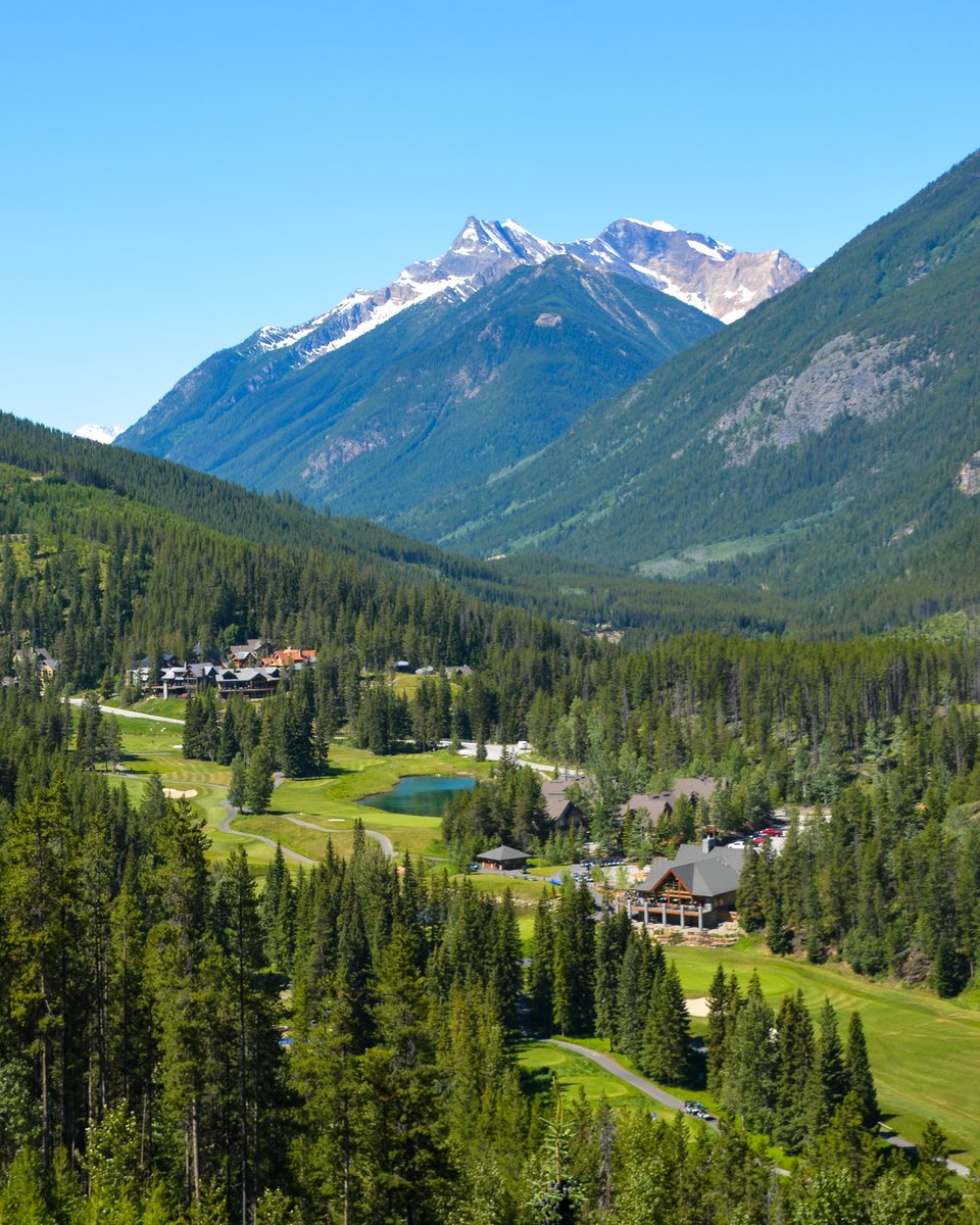 Greywolf Golf Course tweet media