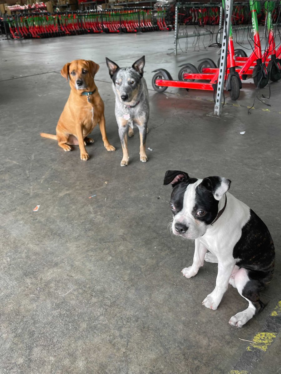 JasonD_086's tweet photo. https://t.co/kiXuzeXGt1
