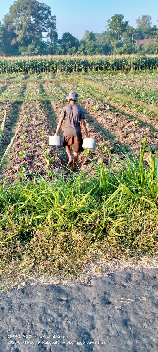 Goes bagi mereka adalah olga
Sedang bagi kami....
Nyiram tembakau 
Adalah olga

Met pagi sobat tl
Semangat menyongsong hari
Jangan lupa ngope
,
,
<a href="/Hermans_cepoe/">𝕸𝖇𝖆𝖍 𝕸𝖎𝖓𝖙𝖔𝖓</a> 
<a href="/maryati_24/">Maryati Ekseizzz</a> 
<a href="/Monicalee20i956/">Monica Lee</a> 
<a href="/Anpras7/">Anpras</a> 
<a href="/Putr1_Tungga1/">💞Dyan4☘🕌⛪🍀</a> 
<a href="/Wahrun12/">sobat okep</a> 
<a href="/Whywex86/">whywex2🇮🇩</a>