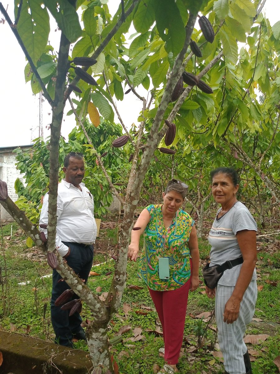 CatalinaRMar's tweet photo. @acodea_ Grandes retos para @comcacaot luego de la asesoría en Recursos Humanos con la agripooler Dolors Vall de Cotecnica. Nos recalca la importancia de la formación del equipo para los procesos de mejora continúa. https://t.co/NNWycw50x5