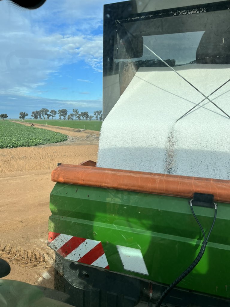 Jake Plattfuss tweet media