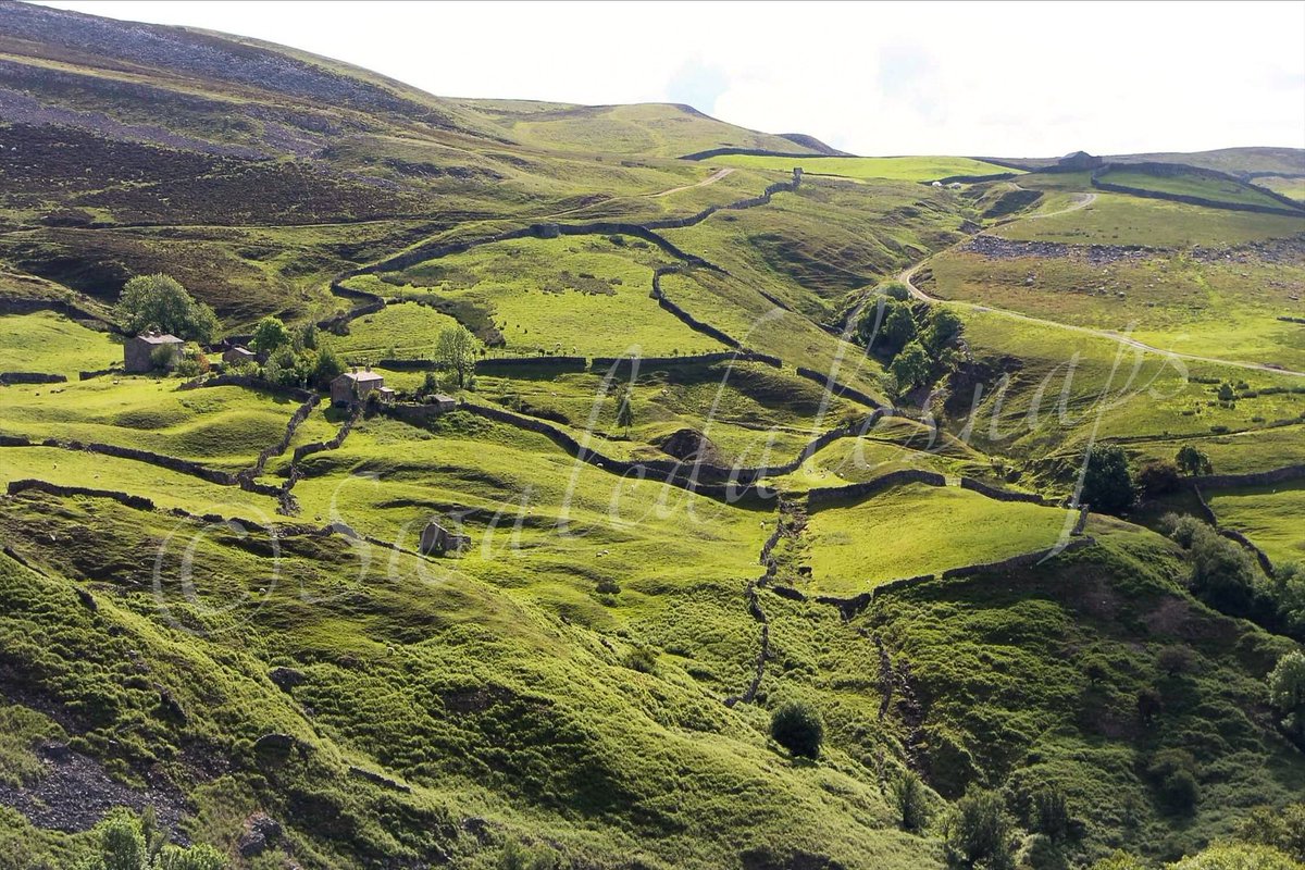 SwaledaleSnaps's tweet photo. Gunnerside gill #swaledale #gunnersidegill https://t.co/IbXP4VHhi6
