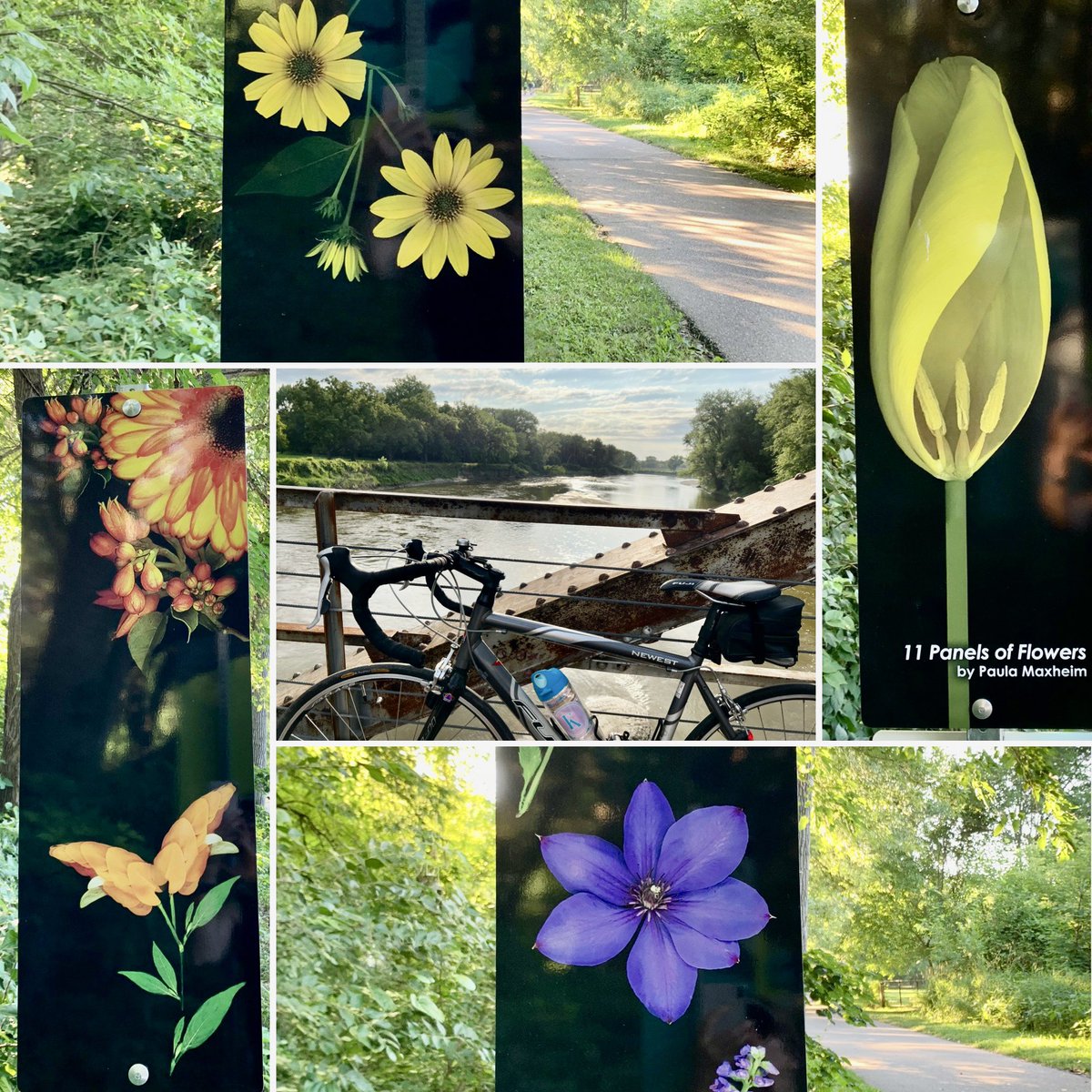 kayfentonsmith's tweet photo. Amazing outdoor artists. #bikeIowa #outdoor #art https://t.co/qRPUWpMU8s