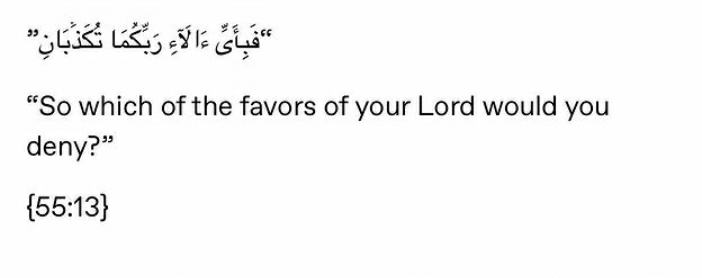 pyaribandi's tweet photo. Tum apny rab ki kon kon si naimaton ko jhutlaogy..
#Surah_Rehman ❤
#Al_quran 😇
#prinCess_writes ✍ https://t.co/XGW7AycaMt