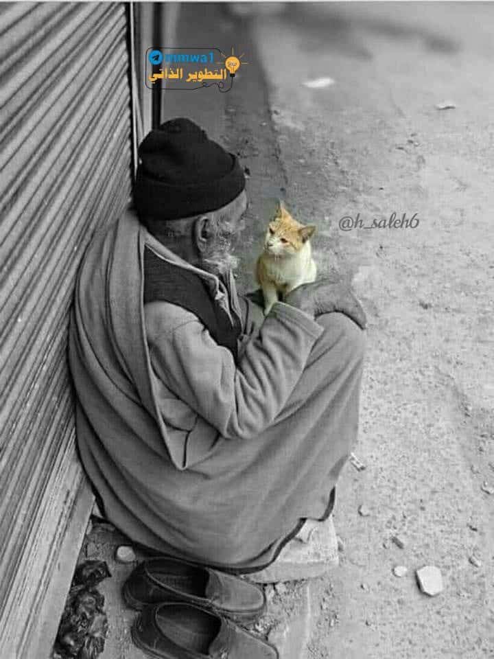 mad08430718's tweet photo. *لا شيء في هذه الحياة يُعادل أن تكون إنسانًا ، الإنسانية أهم من المال والمنصب ، ومن أي شيء ..* https://t.co/JA7hm06dq8