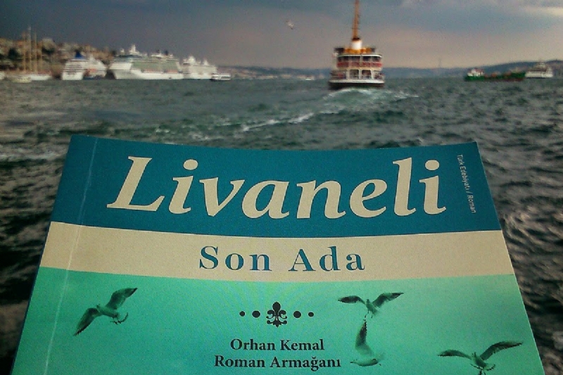 "Doğrudur; kitap okumak karın doyurmuyor. Ancak karnı tok, beyni boş adamlardan çektiğimiz kadar hiç kimseden çekmedik." 

Son Ada, Zülfü Livaneli