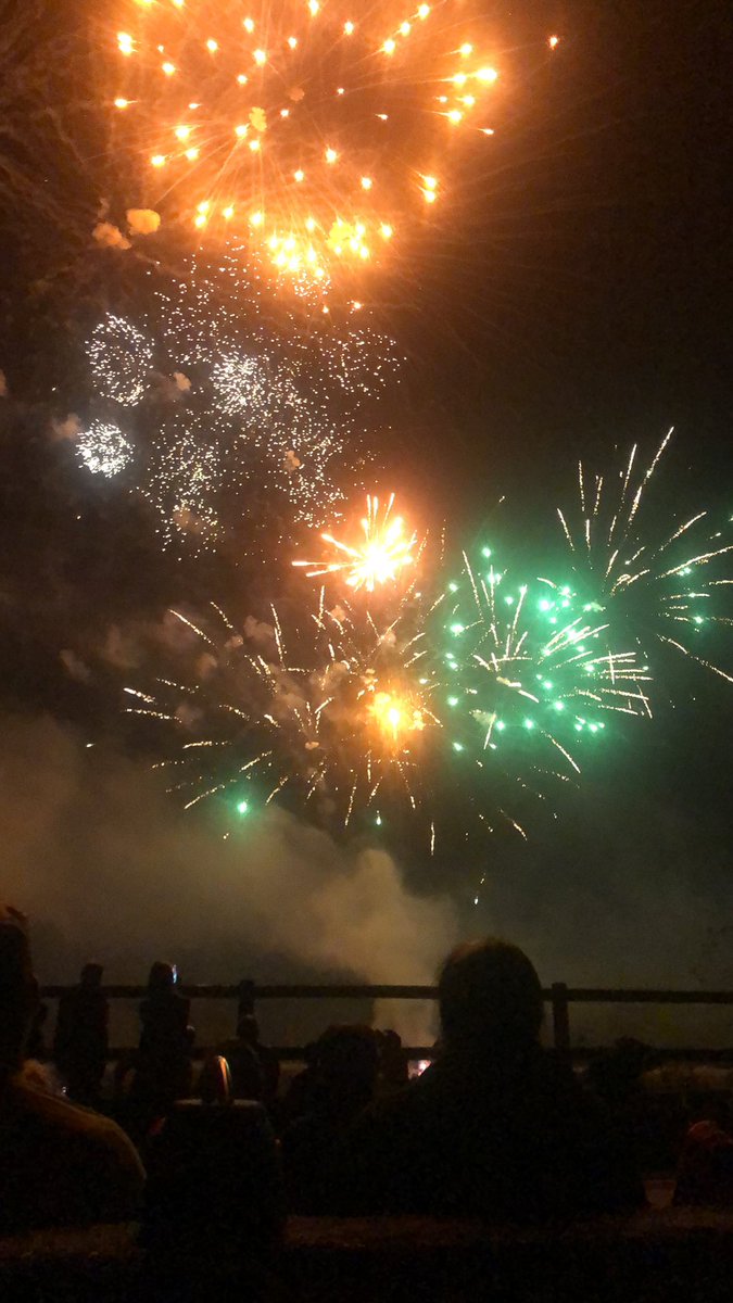cherre_oceane's tweet photo. Ce soir nous avons pu assister au feu d’artifice de la commune de La Ménitré #lamenitre #feudartifice #circo4903 https://t.co/rg32Fkd7HV