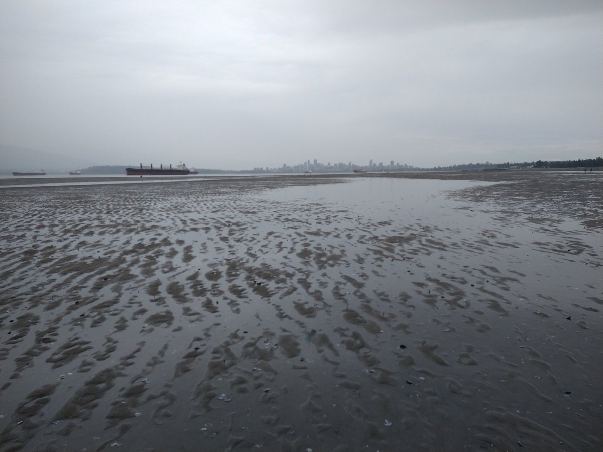 jaceksmolicki's tweet photo. Field recording during the lowest tides in Vancouver in the last decade with hydrophones and self-made geophones surprisingly well capturing the waves, raindrops and wind brushing the revealed land. #SpanishBank #Vancouver #intertidalzones #soundwalking https://t.co/8MZaPQ5sxv