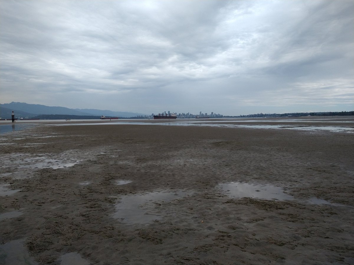 jaceksmolicki's tweet photo. Field recording during the lowest tides in Vancouver in the last decade with hydrophones and self-made geophones surprisingly well capturing the waves, raindrops and wind brushing the revealed land. #SpanishBank #Vancouver #intertidalzones #soundwalking https://t.co/8MZaPQ5sxv