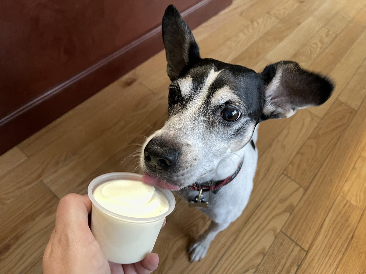 Dr Nicola Parry tweet media