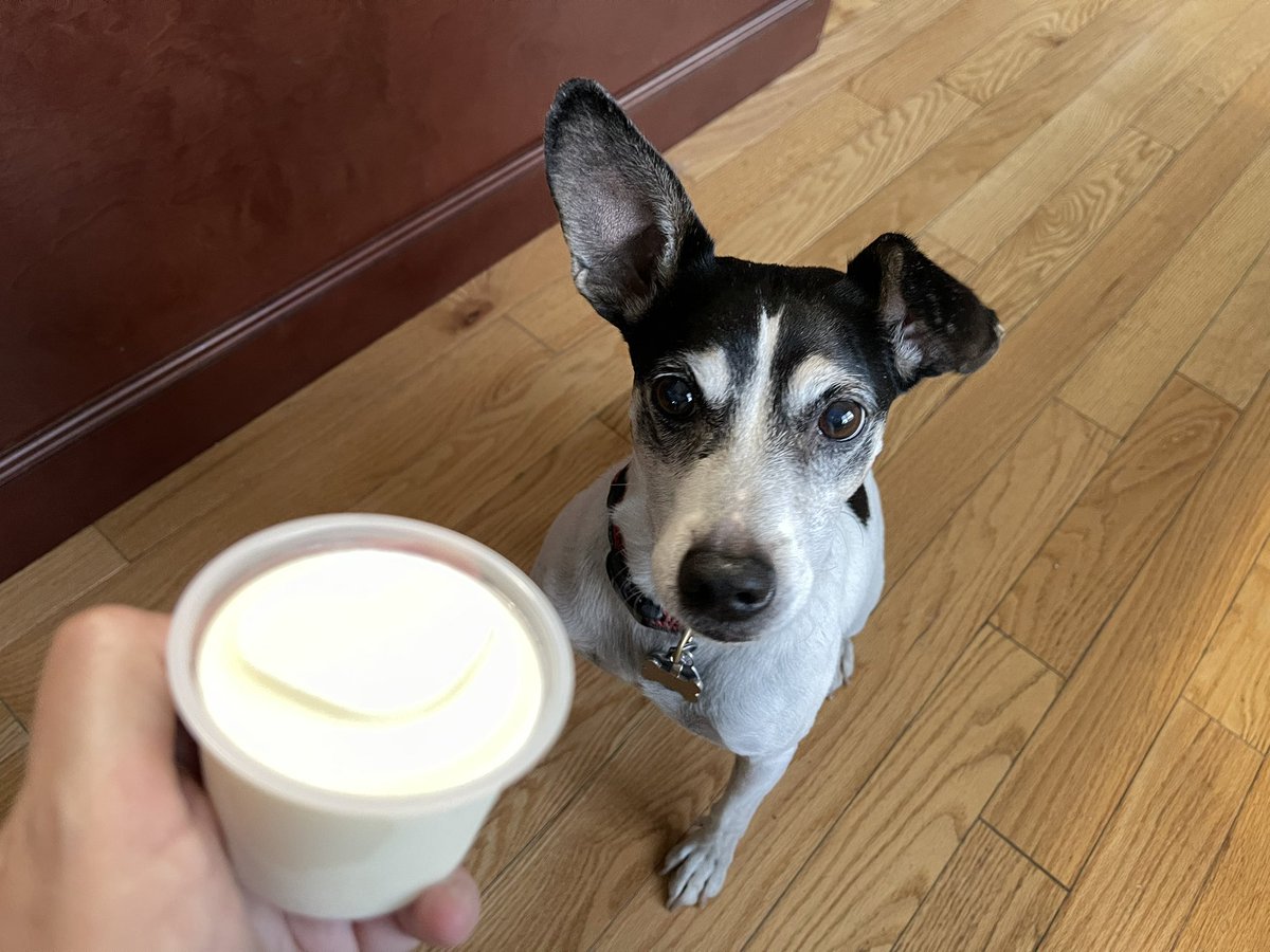 Dr Nicola Parry tweet media