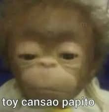 Emiliobueno_'s tweet photo. Yo a los 45 minutos de empezar la guardia https://t.co/bdeIEBqOOW