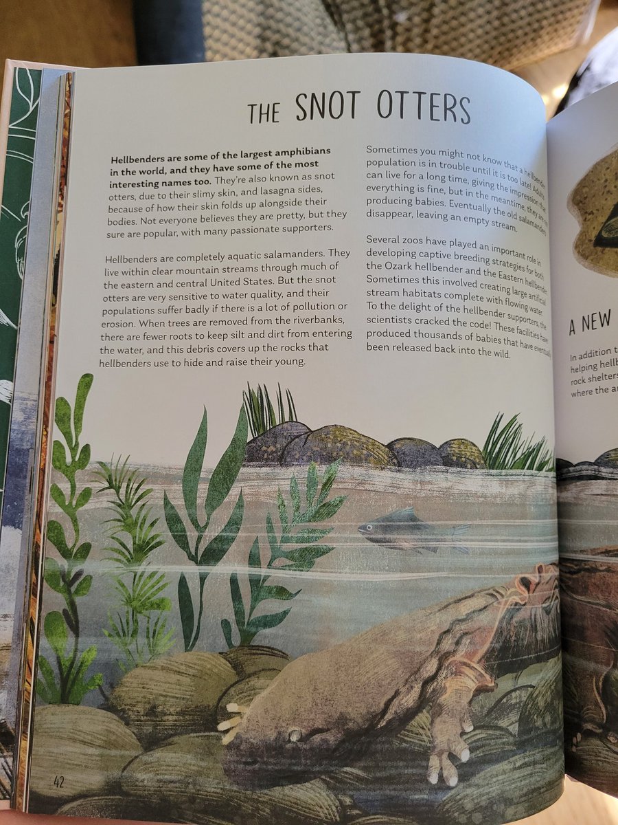 I bought this book for my niece and I am NOT disappointed

@AlongsideWild <a href="/neonsquidbooks/">Neon Squid</a>