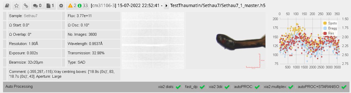 garagao's tweet photo. I know it is #thaumatin but it is still not #lysozime. Treated with selenourea to incorporate selenium without having to express it. Solved on our almost brand new #i04 beamline with its shiny new undulator. 13 keV at 500 Hz attenuated beam - Yes i04 now needs to attenuated again https://t.co/JAZtU5JrP8