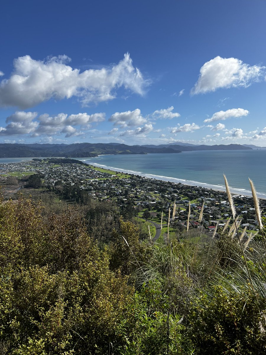 Doesn’t feel like winter here in New Zealand