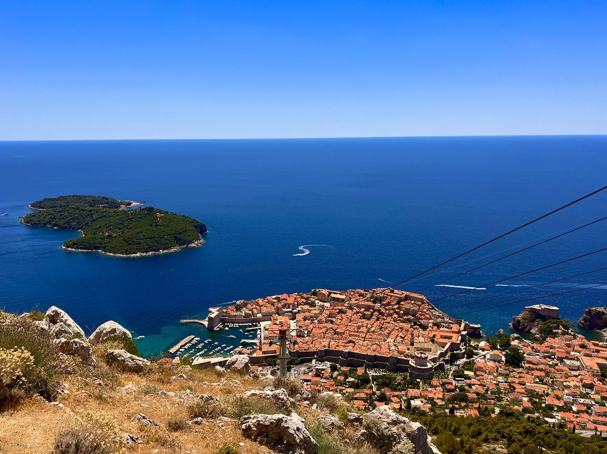 Andrea Perry tweet media