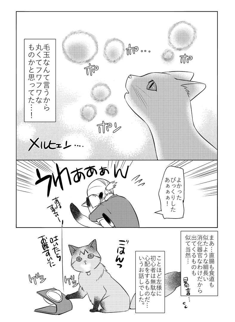 猫初心者がびっくりした話。
#猫のいる暮らし 
「ふじいみとりのねこ活!」
https://t.co/E4c48jA6p6 