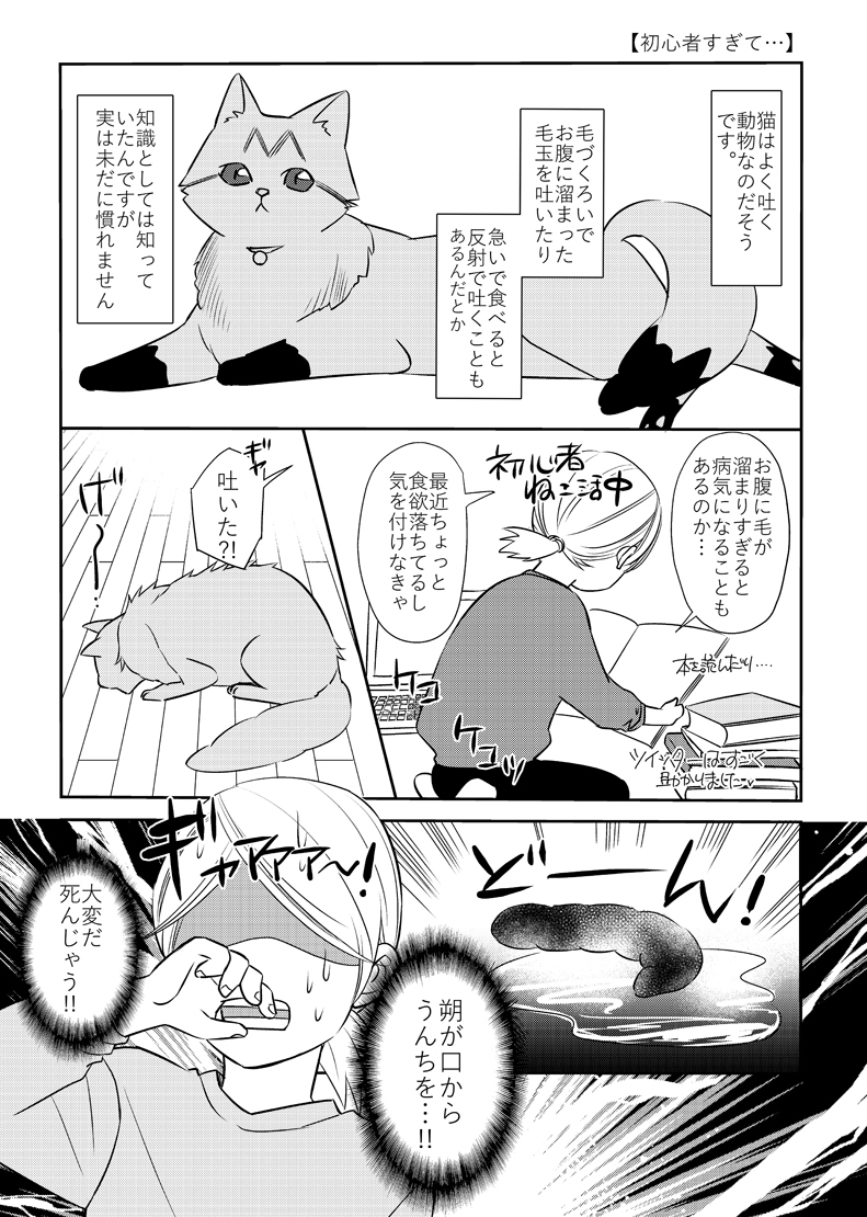 猫初心者がびっくりした話。
#猫のいる暮らし
「ふじいみとりのねこ活!」
https://t.co/E4c48jA6p6
