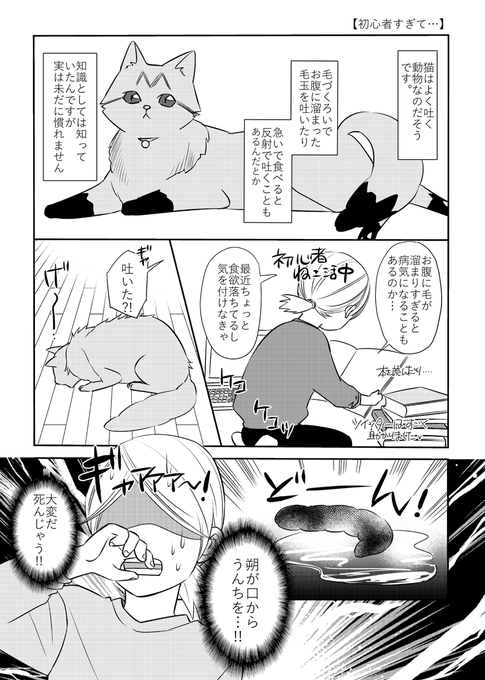 猫初心者がびっくりした話。
#猫のいる暮らし 
「ふじいみとりのねこ活!」
https://t.co/E4c48jA6p6 