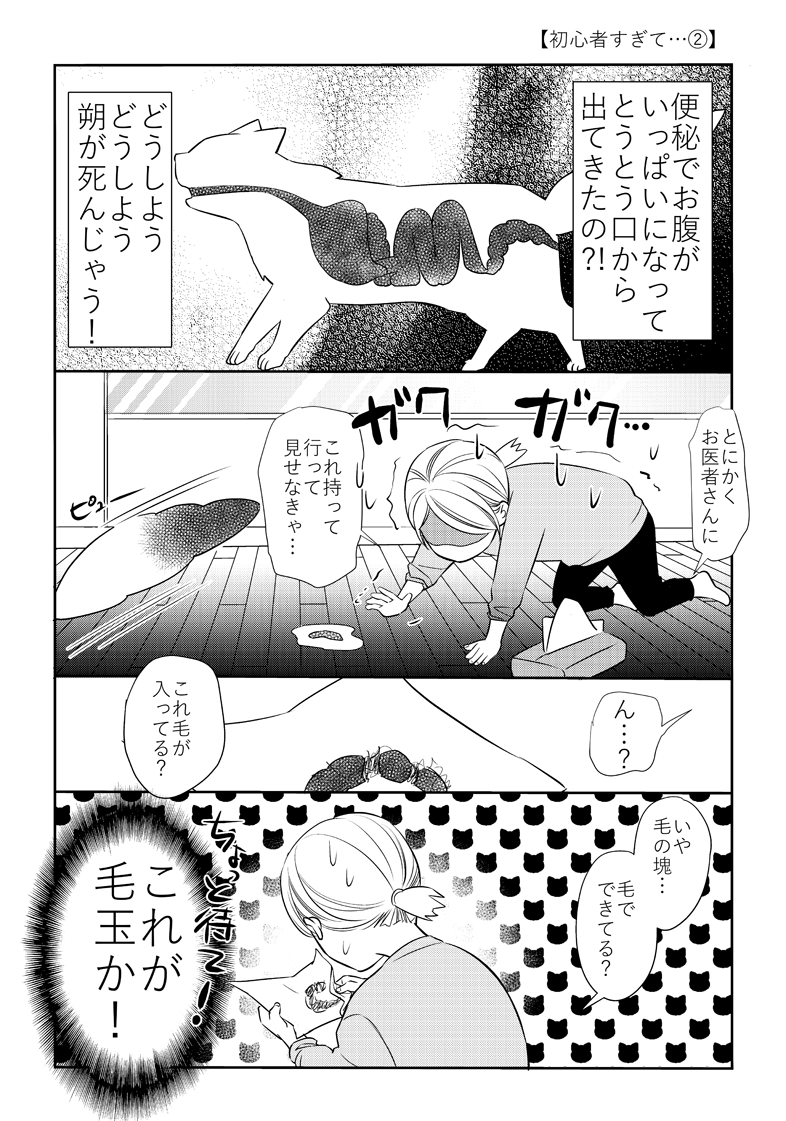 猫初心者がびっくりした話。
#猫のいる暮らし 
「ふじいみとりのねこ活!」
https://t.co/E4c48jA6p6 