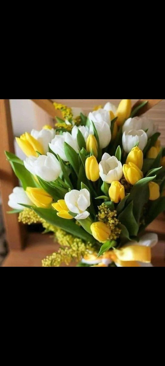 NAvasiloai's tweet photo. Buongiorno a tutti!!!☀️❤️
Buon weekend!!❤️🥰#tzip https://t.co/ifmsCDMvYT