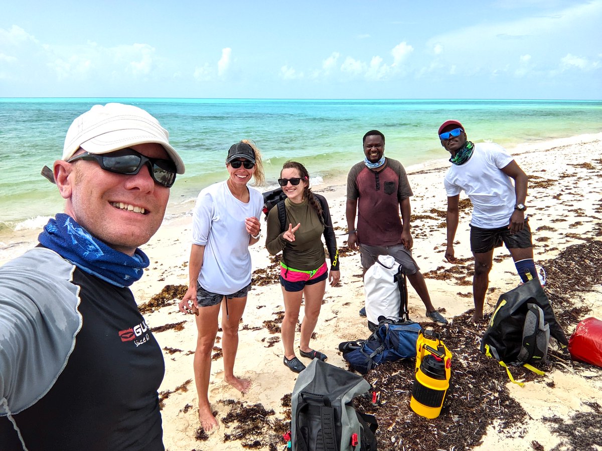 TCI Seabirds tweet media