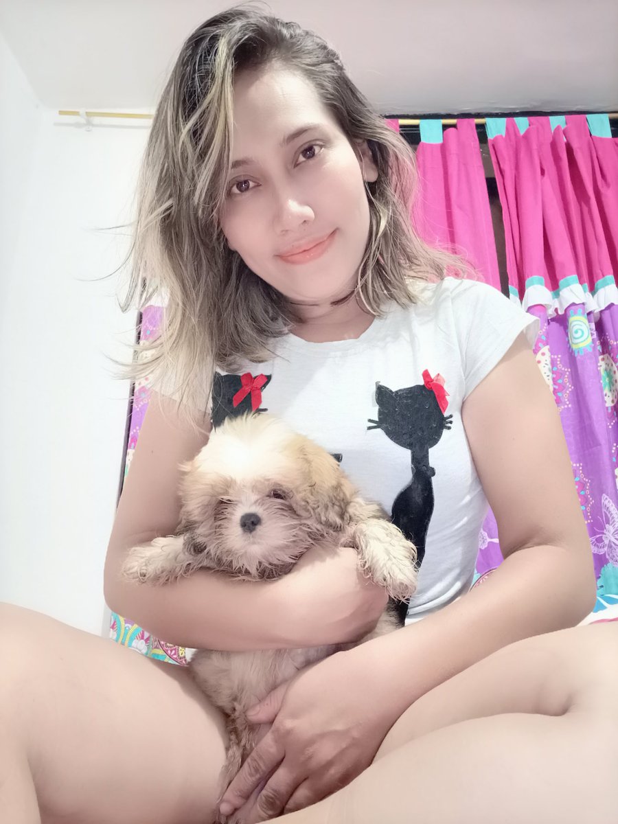 Content from pershi