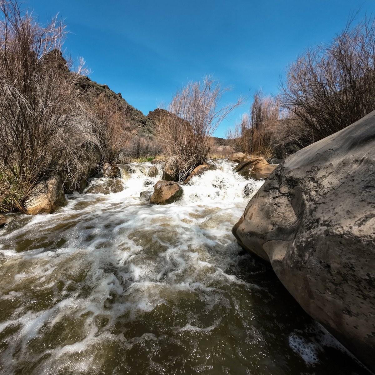 505Nomad's tweet photo. #FF @EugeneMasonABQ @CSFuqua, @InnGovernorsSF, @LynneSturtevant, @encinias1, @palmeralpha1, @CIBOLERO, @NNMaes, @dswslc, @SandiBillington, @enderFP, @KrayolaSky, @rootnk, @solphoto, @WesternTrips, @lozula, @tc1261, @poblano2009, @ScotPFV, @JimDeLilloPhoto, @GrnLakeGirl, @wada_woo https://t.co/klLOte4dnV