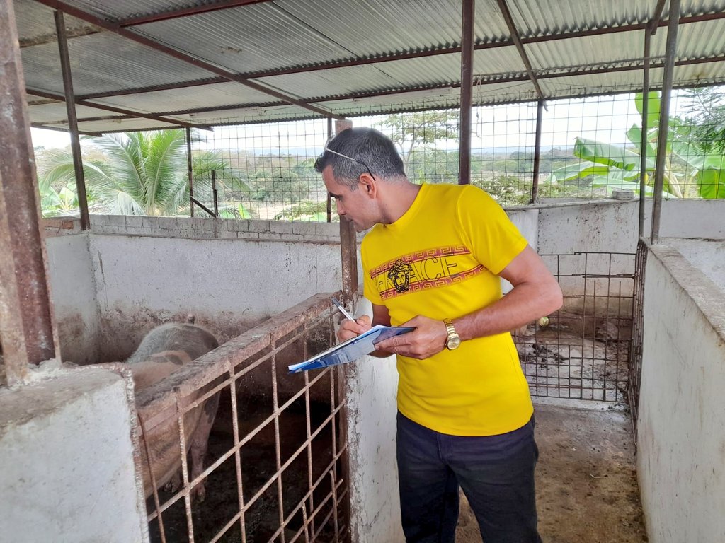 AgrocalidadZ5's tweet photo. #Guayas |  Realizamos fiscalización de vacunación en predios de producción porcina, para garantizar la correcta inmunización contra la Peste Porcina Clásica y la bioseguridad en este tipo de explotación y así mantener el estatus zoosanitario del país. #PrevenciónSanitaria https://t.co/iTehFESYJS