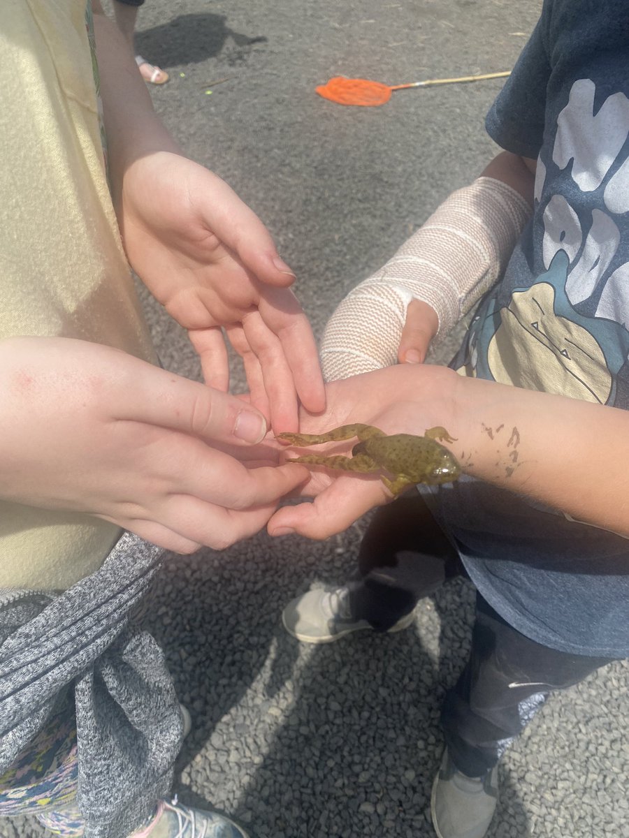 Who did you hug today? We hugged this cute frog before we returned him to his pond home.