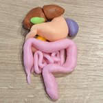 お父さん粘土遊びしよー!作った作品がリアルな臓器だった。