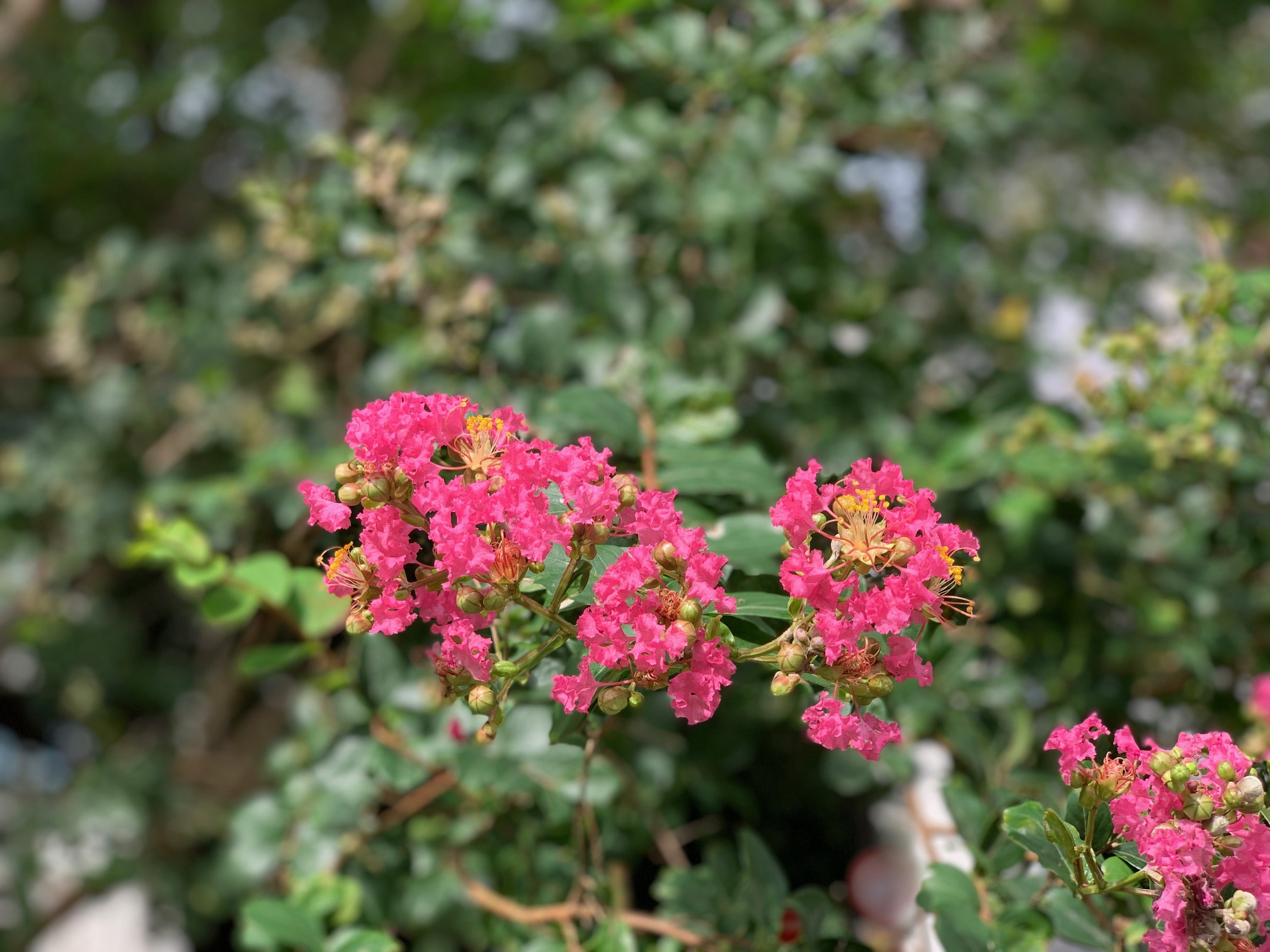 看護師 介護士 転職支援 どん底に落ちたら 掘れ 養老孟司 看護師転職 介護士転職 転職相談 転職したい Twitter転職 転職応援 おむすびドットコム 名言 格言 T Co Dqpz7o7h77 Twitter