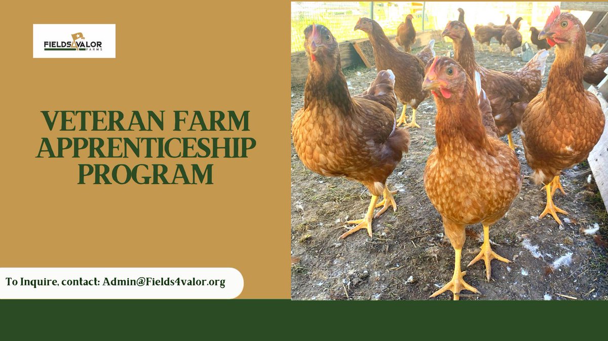 fields4valor's tweet image. Don't forget to inquire about our Veteran Farm Apprenticeship! Contact Admin@fields4valor.org for more information! 

#VetsGrowGood #Fields4ValorFarms #FarmFreshIsBest