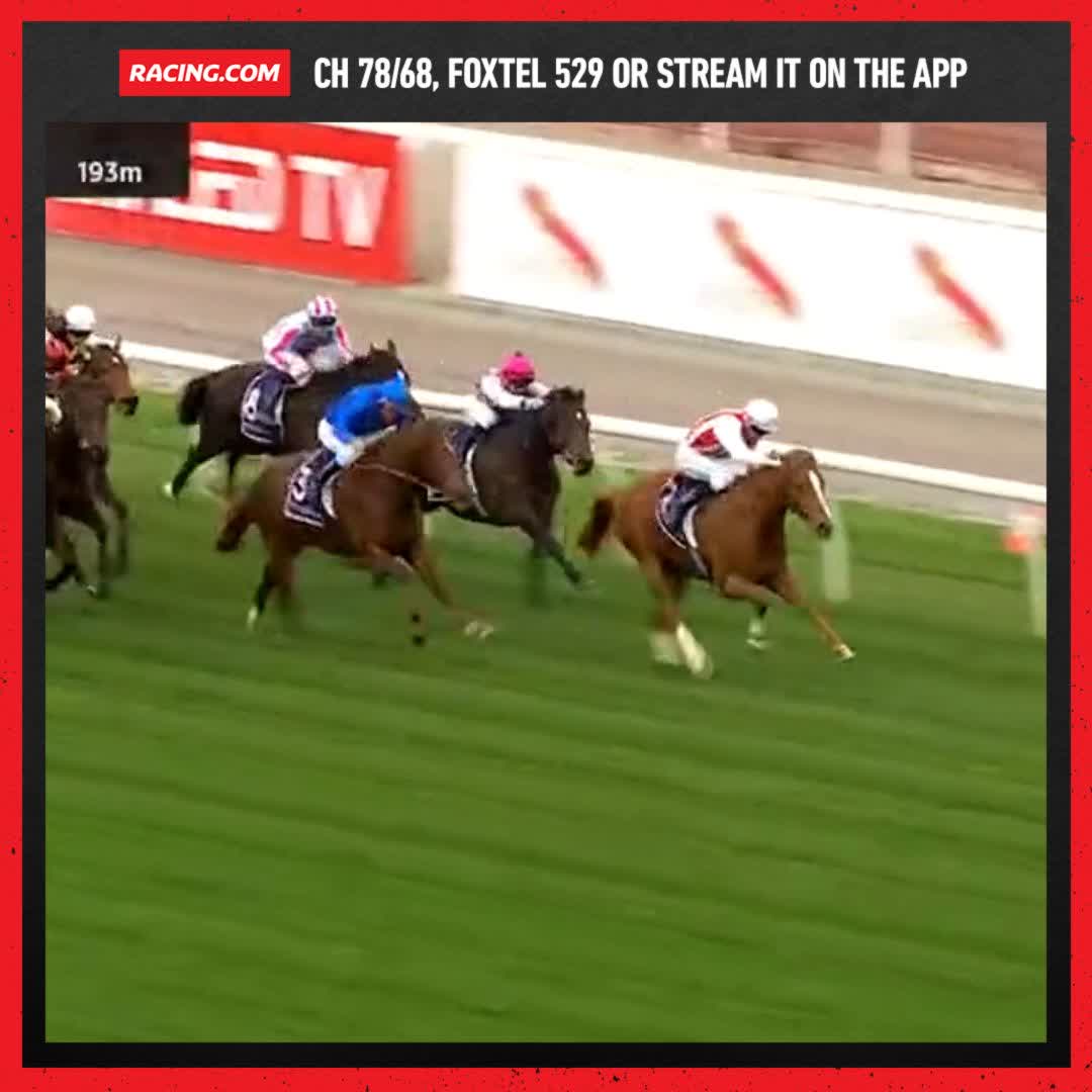 on Twitter "R1 at Flemington tomorrow is for the 2YOs over