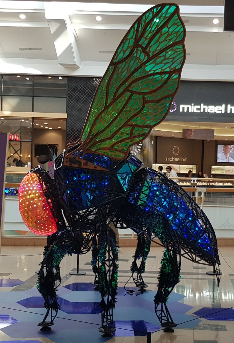 Very neat display honouring #Australia's cuckoo bees in #Melbourne. All sorts of #invertebrates are scattered around including #cicadas, #bees, #spiders & #butterflies. It's always surprising but lovely to see invertebrates get recognition! 🦋🐜🐝🐞🦗🦟 🕷