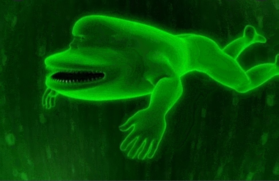 unitwithunibrow's tweet photo. I remember when @JustinHagberg2 said animal planet was dumb. How can you explain this or yourself. https://t.co/kvVHyCxywU