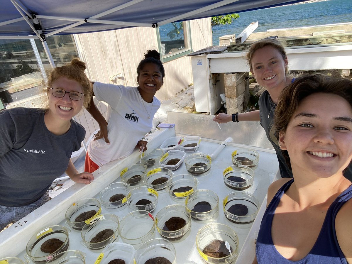 Very grateful to these awesome young women scientists who have my back and are dealing with coral spawning while I am stuck at home in Covid isolation #postICRScovid #WomenInScience #youngscientists
