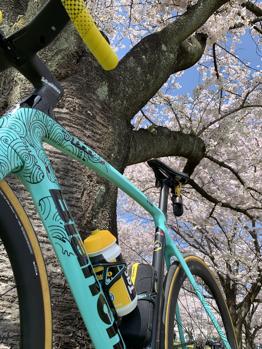 onestar_23's tweet photo. 今年の春ですが。 #これを見た人は愛車の背景が花の画像を貼れ https://t.co/pCrDp1YFVe