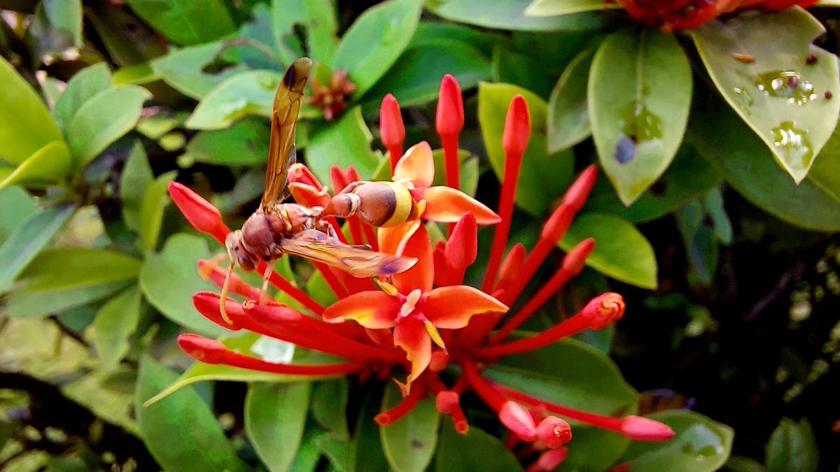 ashokkujur's tweet photo. Mobile Photography https://t.co/4vNJjR0ymk