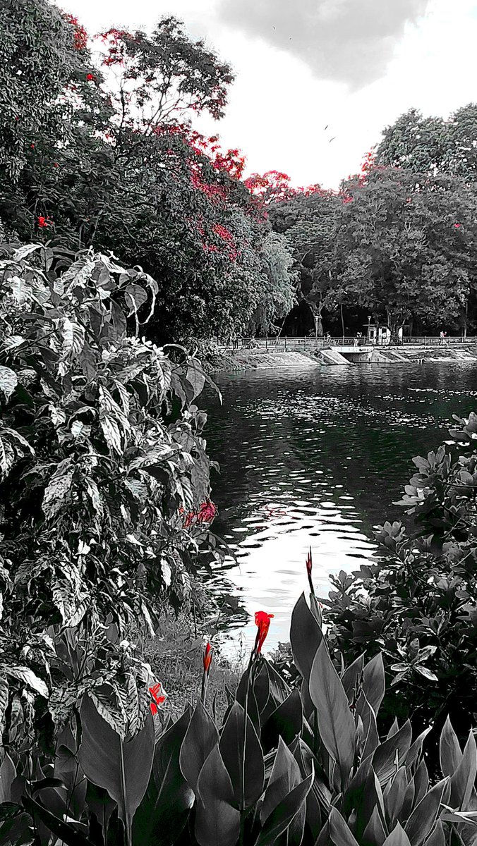 ashokkujur's tweet photo. Mobile Photography https://t.co/4vNJjR0ymk