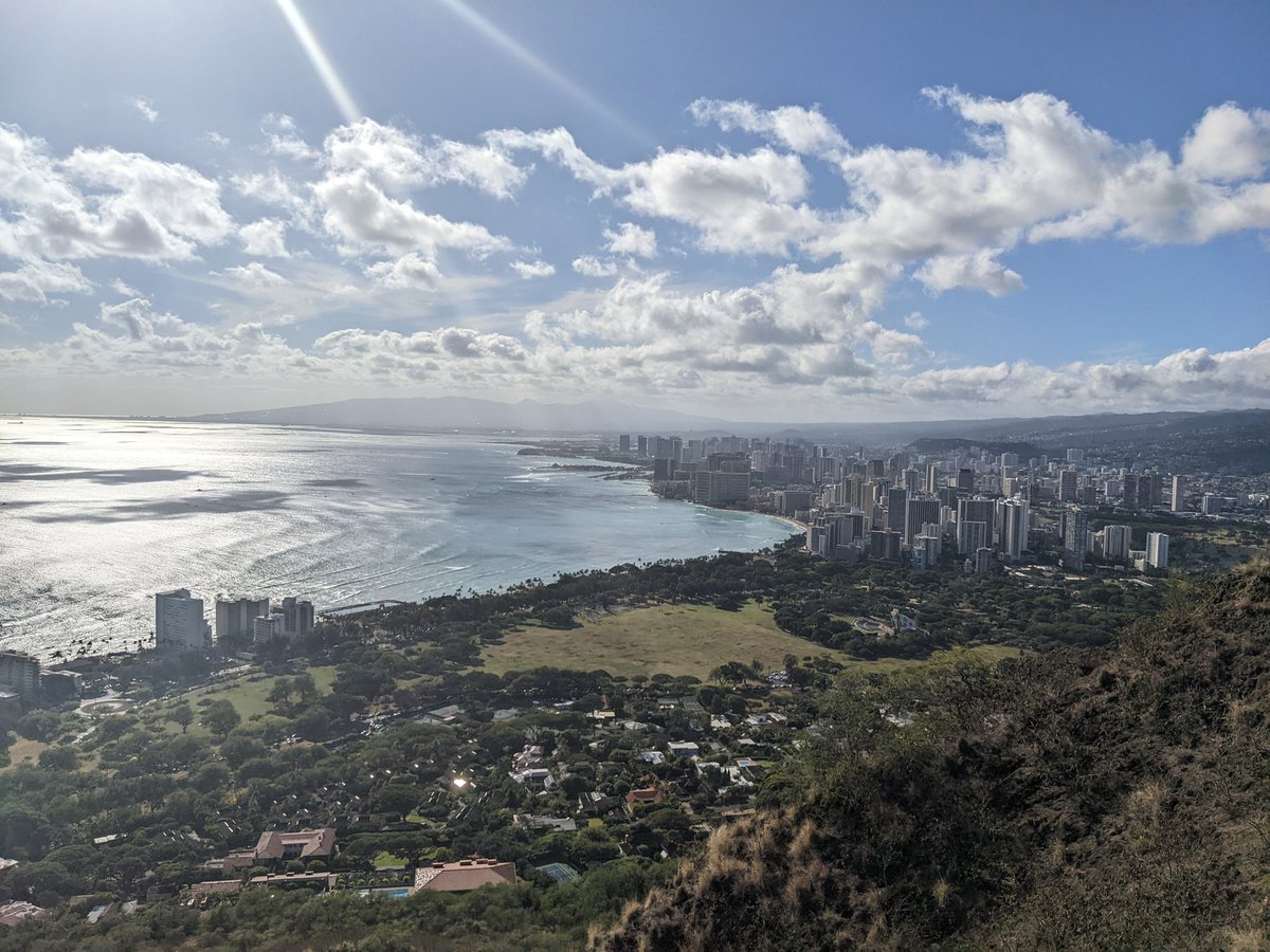 Grace Scullett-Dean tweet media